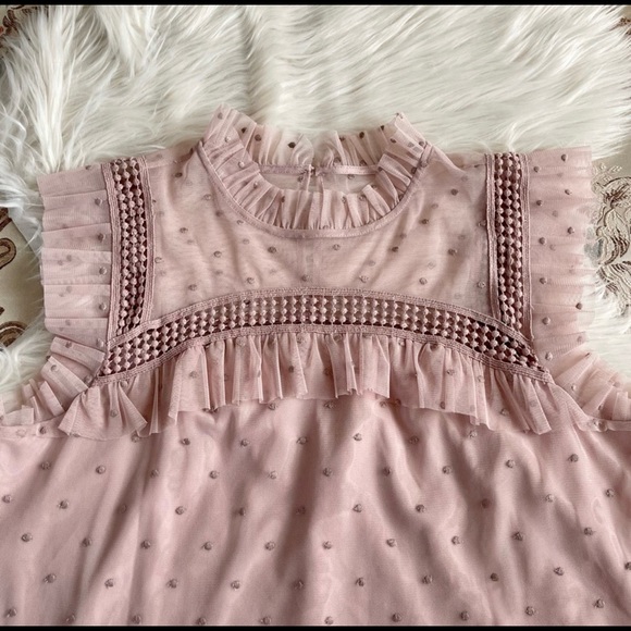 BB Dakota Women’s Sleeveless Roslyn Embroidered Dotted Mesh Pink Top EUC Size S - Picture 3 of 9